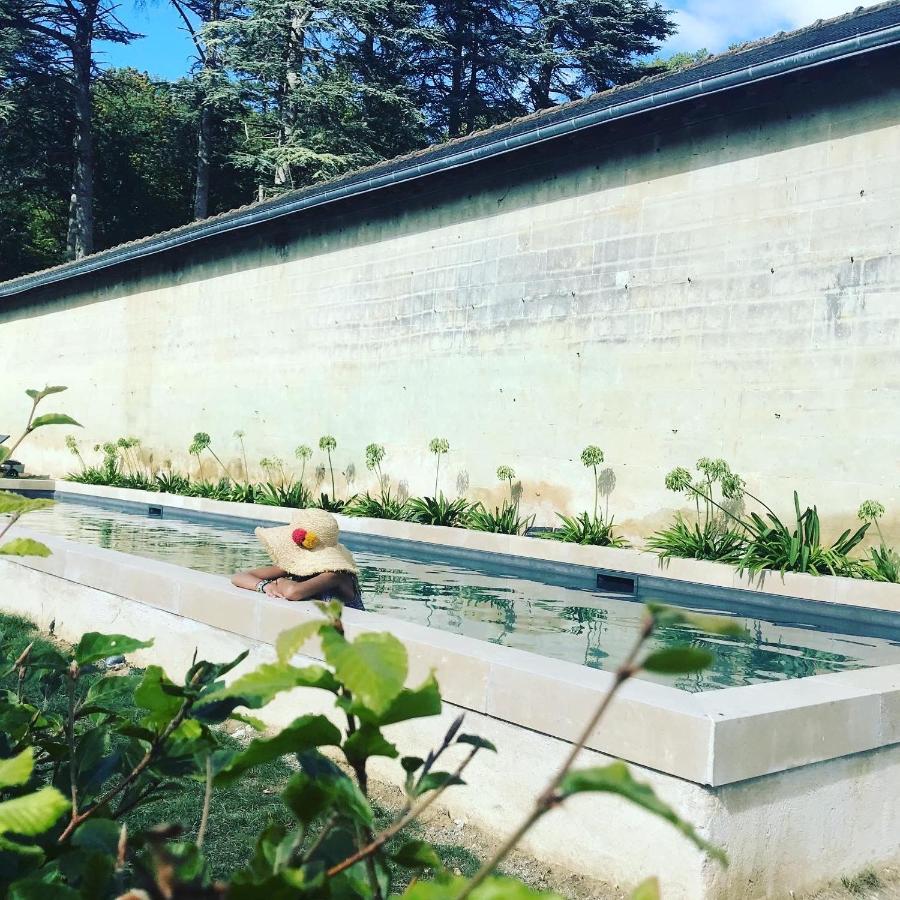 Gite Du Chateau D'Hodebert Saint-Paterne-Racan Εξωτερικό φωτογραφία